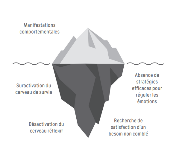 Le modèle de l'iceberg