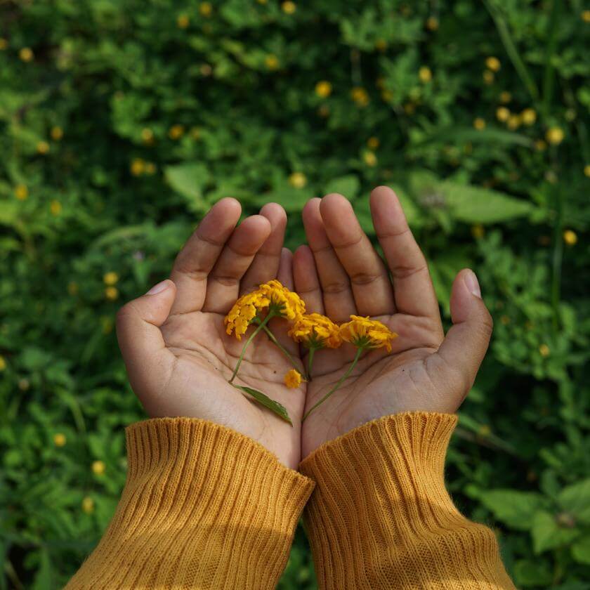 fond d'herbe avec des mains qui présentent des fleurs 